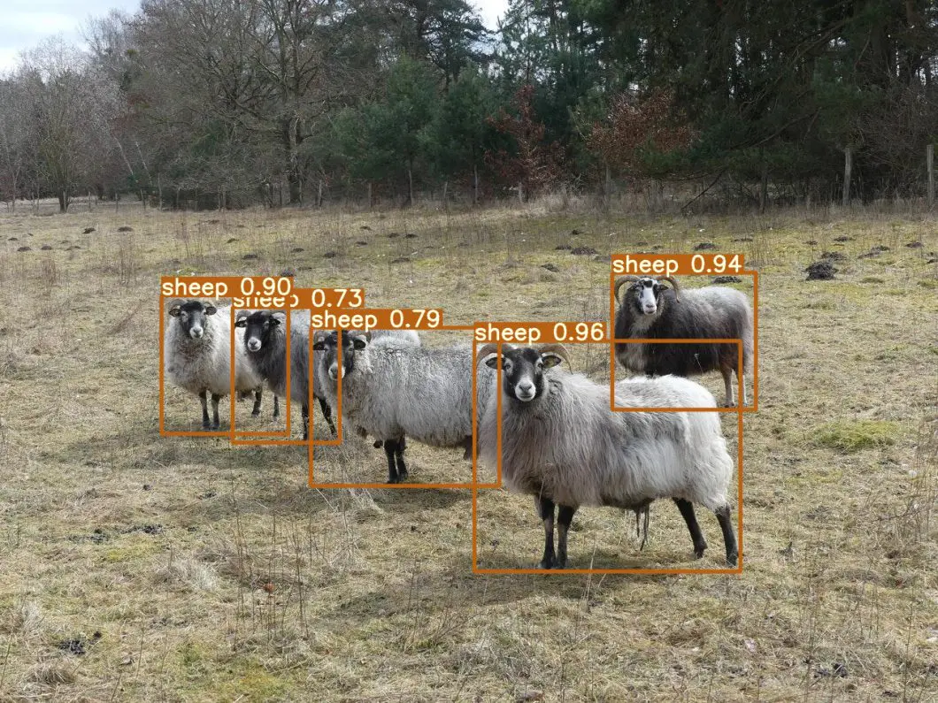 Animal Monitoring
